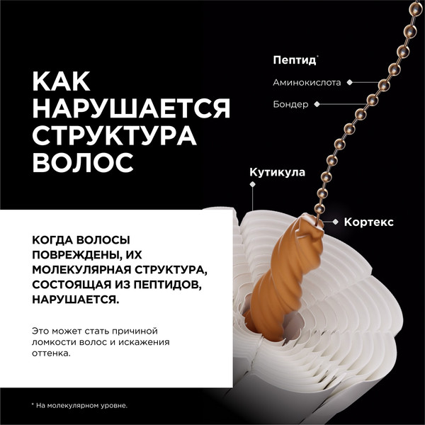 Изображение товара Шампунь для волос L'Oreal Professionnel Absolut Repair Molecular Для восстановления волос Рефил (500мл)