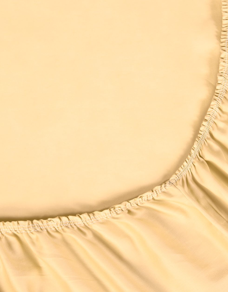 Изображение товара Простыня АртПостель Шампань на резинке 834_гк (160x200)