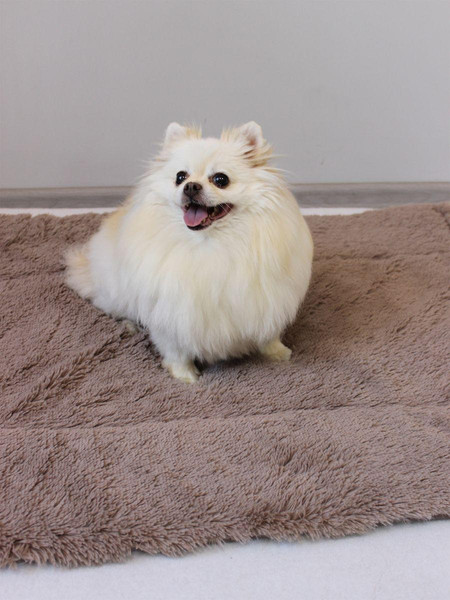 Изображение товара Подстилка для животных MATEX Pet Plush / 55-747 (кофейный/светло-коричней)