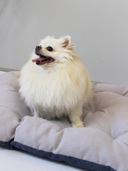 Изображение товара Матрас для животных MATEX Haga. Pet / 55-792 (светло-серый/темно-синий)