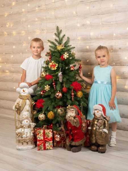 Изображение товара Ель искусственная National Tree Company Ариадна / АРД-120 (120см)