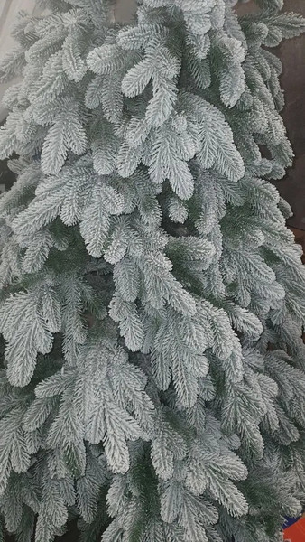 Изображение товара Ель искусственная National Tree Company Ариадна заснеженная / АРД/ЗСН-240 (240см)