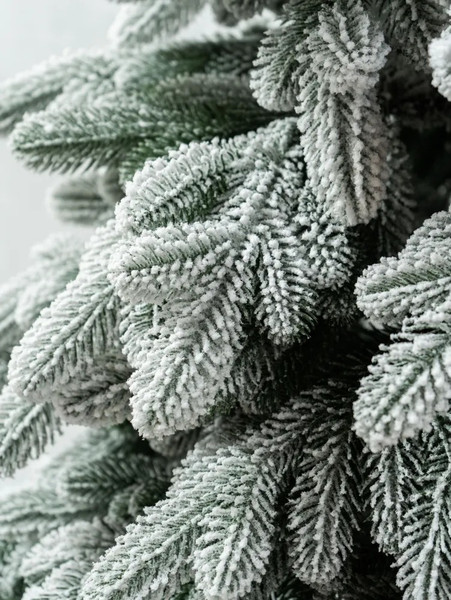 Изображение товара Ель искусственная National Tree Company Ариадна заснеженная / АРД/ЗСН-240 (240см)