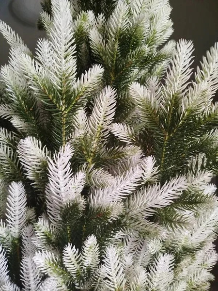 Изображение товара Ель искусственная National Tree Company Форест / ФОР/зл-бел-160 (160см)