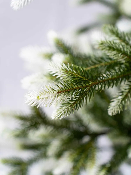 Изображение товара Ель искусственная National Tree Company Форест ФОР/зл-бел-220 (220см)
