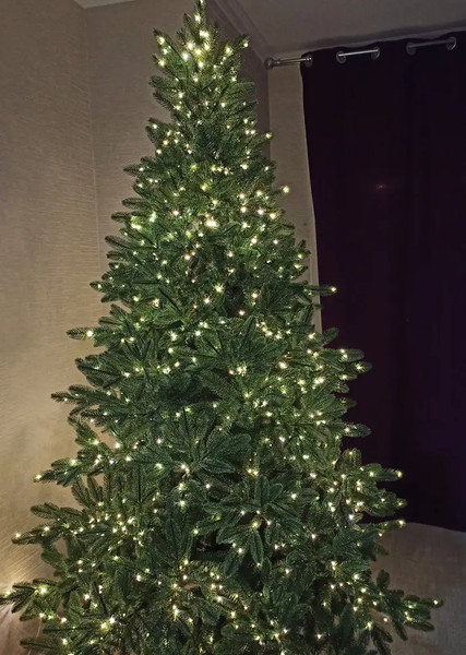 Изображение товара Ель искусственная National Tree Company Графская премиум / ГРАФ/ПР-210 (210см)