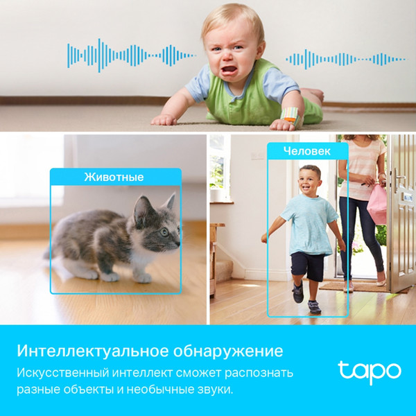 Изображение товара IP-камера TP-Link Tapo C225