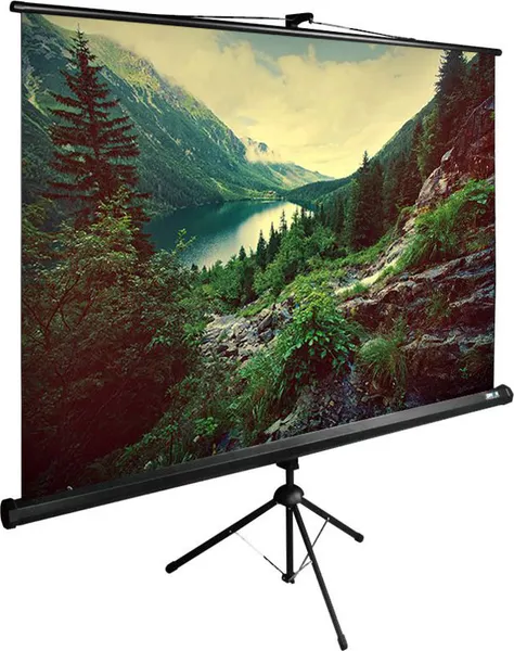 Изображение товара Проекционный экран Cactus CS-PSTE-220X220-BK