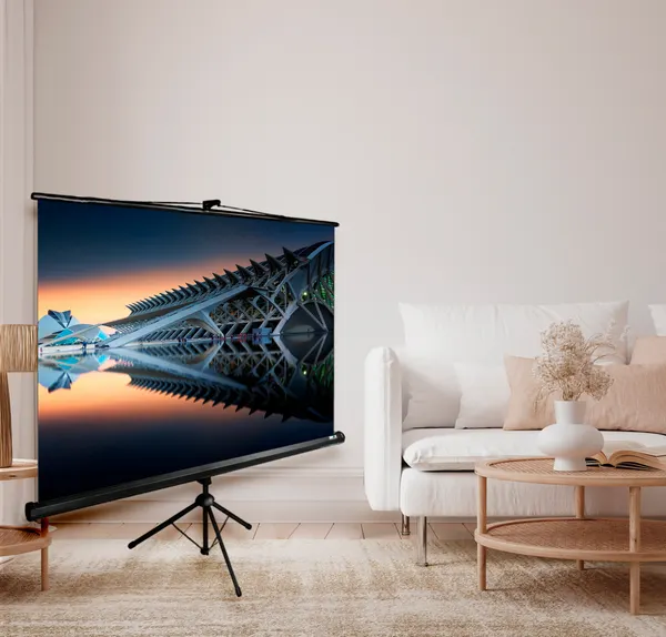 Изображение товара Проекционный экран Cactus CS-PSTE-220X220-BK