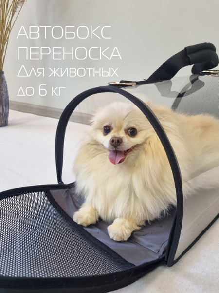 Изображение товара Автобокс для собак MATEX Crystal / 56-317 (серый/прозрачный)