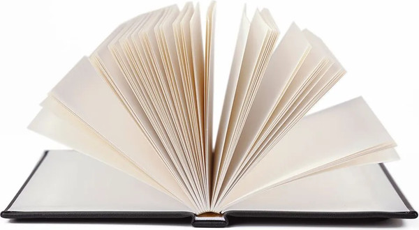 Изображение товара Скетчбук Малевичъ GrafArt Sketch / 401264 (80л, черный)