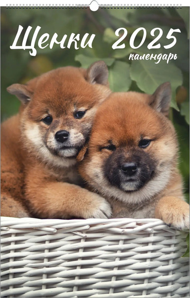 Изображение товара Календарь настенный Listoff Домашние любимцы 2025г / КПВС2510