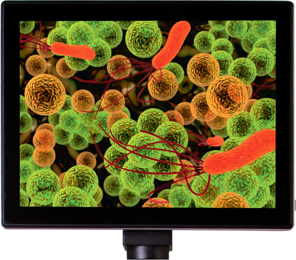 Изображение товара Камера цифровая для микроскопа Levenhuk MED 5 / 74246