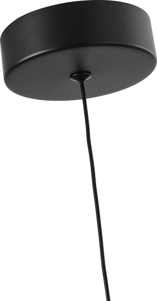 Изображение товара Потолочный светильник FAVOURITE 4452-1P