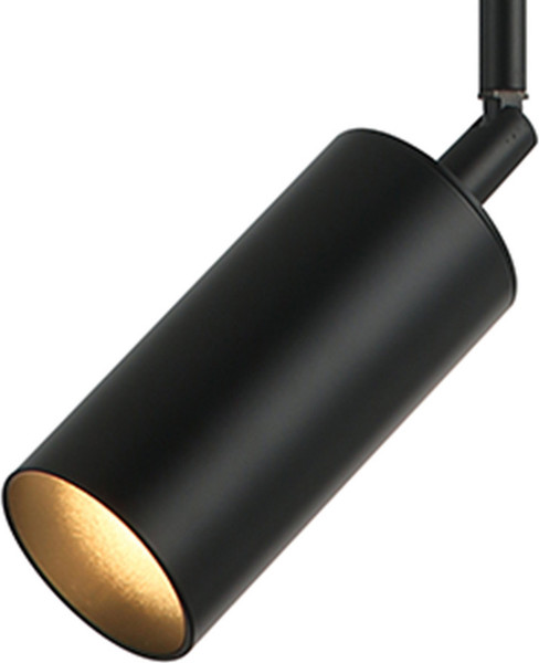 Изображение товара Потолочный светильник Kinklight Рия 07621-1.19 (черный)