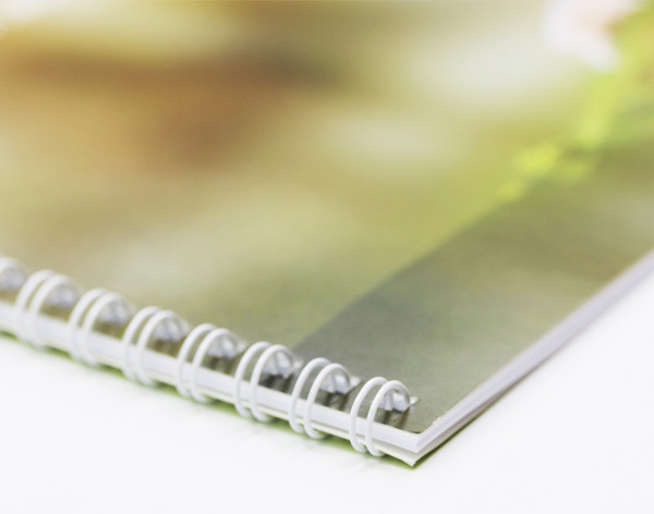 Изображение товара Альбом для рисования Listoff Тигр / БС20182