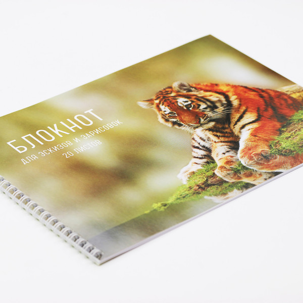 Изображение товара Альбом для рисования Listoff Тигр / БС20182