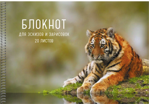 Изображение товара Альбом для рисования Listoff Тигр / БС20182
