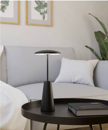 Изображение товара Светильник уличный Eglo Piccola 900925