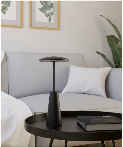 Изображение товара Светильник уличный Eglo Piccola 900925