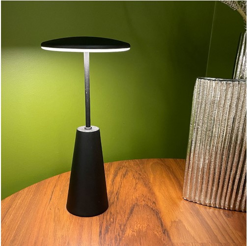 Изображение товара Светильник уличный Eglo Piccola 900925