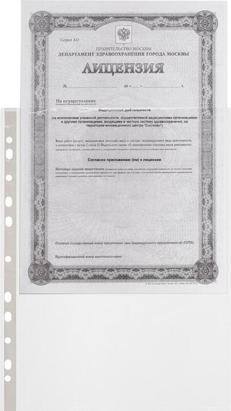 Изображение товара Набор файлов Attache Economy Стандарт / 1160670 (100шт)