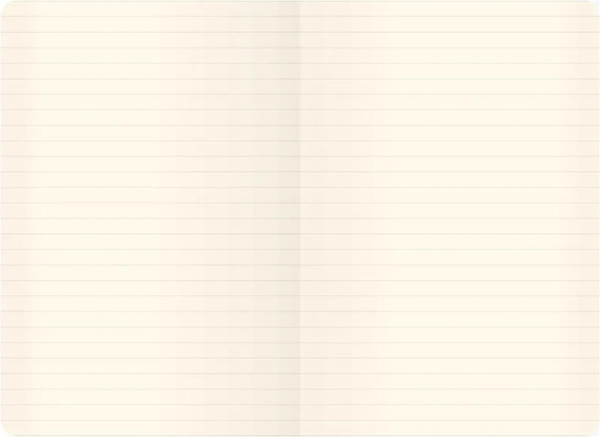 Изображение товара Записная книжка Listoff Joy Book. Снежная мята / БДБЛ5963572