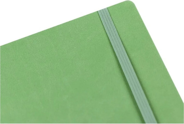 Изображение товара Записная книжка Listoff Joy Book. Снежная мята / БДБЛ5963572
