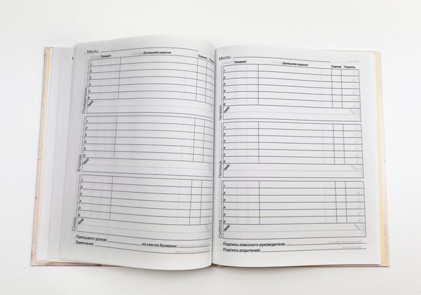 Изображение товара Дневник Listoff Граффити-художник / ДМ234802