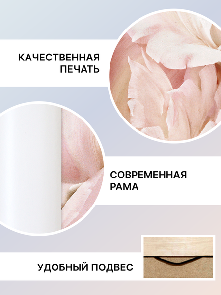 Изображение товара Картина Декарт Нежный цвет пиона 2 8Л0906 (в раме)