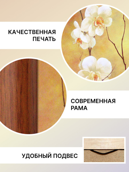 Изображение товара Картина Декарт Белые цветы на оранжевом 8Л2017 (в раме)