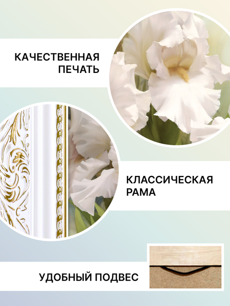 Изображение товара Картина Декарт Белые ирисы 1 8Л0741 (в раме)