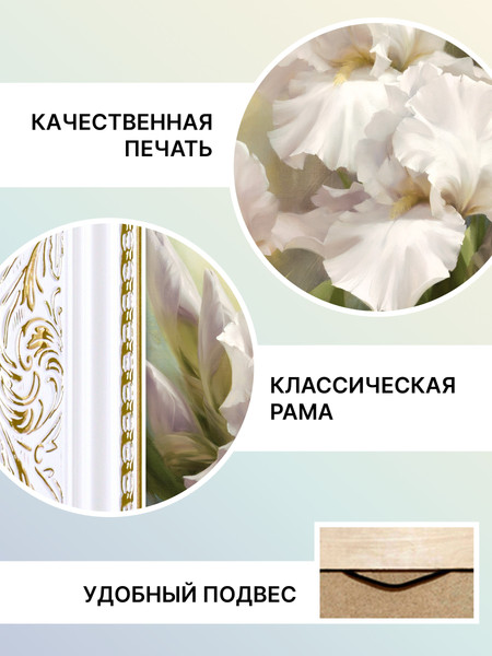Изображение товара Картина Декарт Белые Ирисы 2 8Л0742 (в раме)