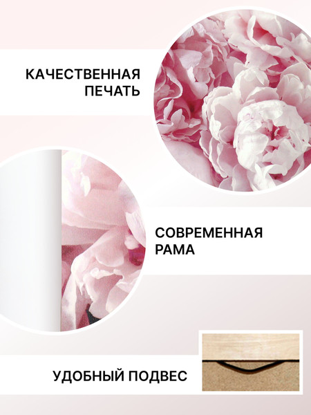 Изображение товара Картина Декарт Нежные пионы 8Л2992 (в раме)