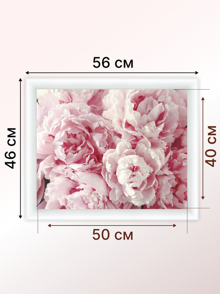 Изображение товара Картина Декарт Нежные пионы 8Л2992 (в раме)