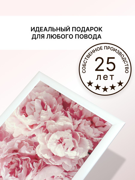 Изображение товара Картина Декарт Нежные пионы 8Л2992 (в раме)