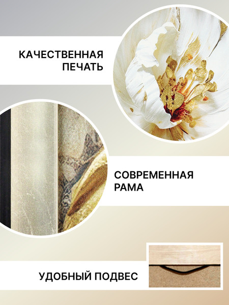 Изображение товара Картина Декарт Белая роза 1 8Л4015 (в раме)