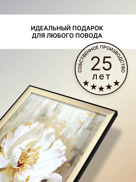 Изображение товара Картина Декарт Белая роза 1 8Л4015 (в раме)