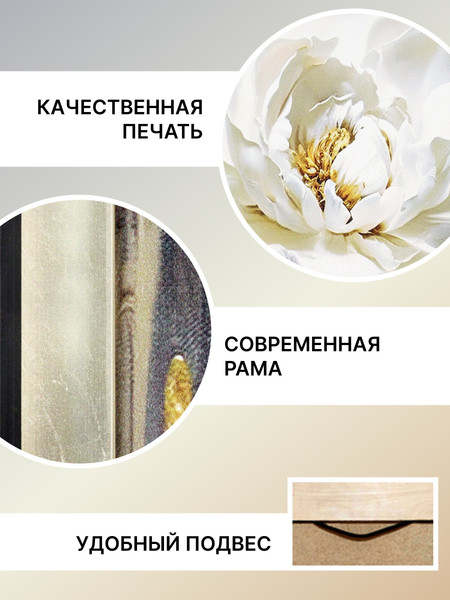 Изображение товара Картина Декарт Белая роза 2 8Л4014 (в раме)