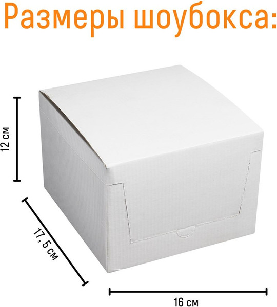 Изображение товара Набор для опытов Bumbaram Шоубокс 12 мини-раскопок / dig-128