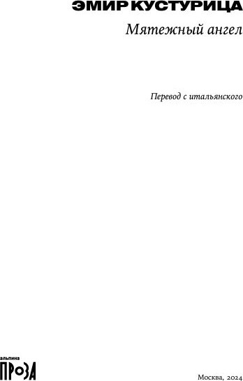 Изображение товара Книга Альпина Мятежный ангел твердая обложка (Кустурица Эмир)