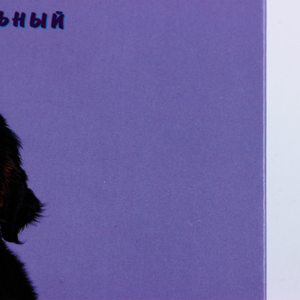 Изображение товара Дневник Listoff Домашние любимцы. Дизайн 2 / ДДЛ244802