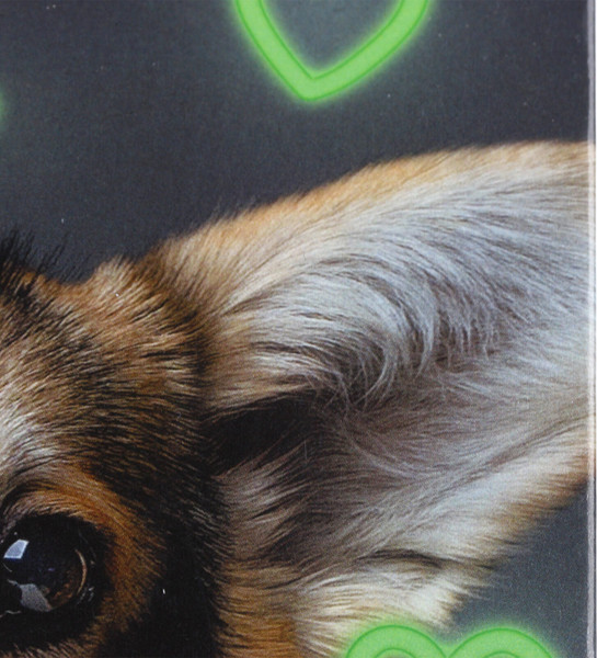 Изображение товара Дневник Listoff Домашние любимцы. Дизайн 3 / ДДЛ244803