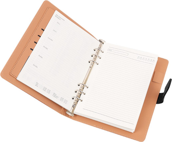 Изображение товара Ежедневник Darvish DV-15074A (100л, черный)