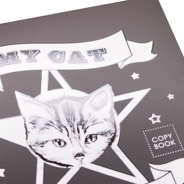 Изображение товара Тетрадь Listoff Street Team / ТТЛ487979 (48л)