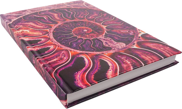 Изображение товара Ежедневник Listoff Аммонит / ЕЖФ24512831