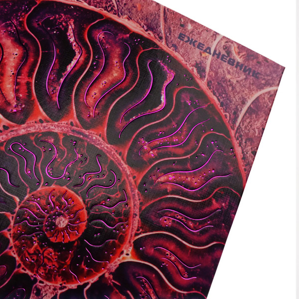 Изображение товара Ежедневник Listoff Аммонит / ЕЖФ24512831