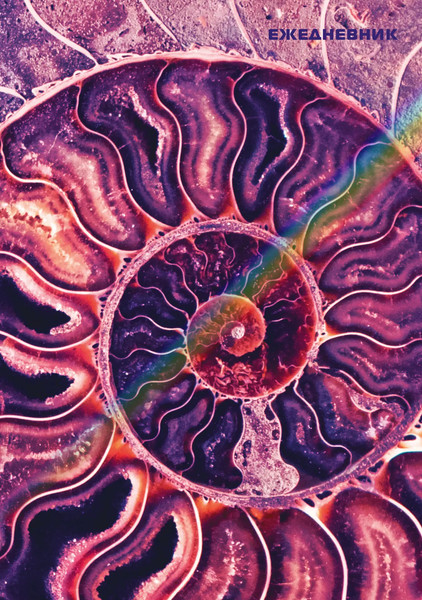 Изображение товара Ежедневник Listoff Аммонит / ЕЖФ24512831