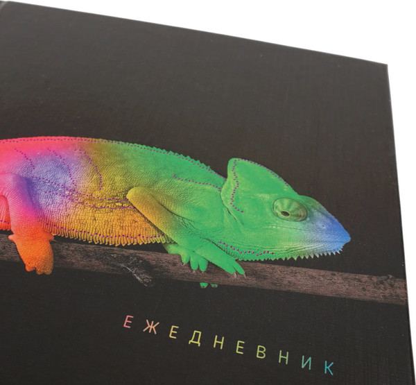 Изображение товара Ежедневник Listoff Хамелеон / ЕЖФ24512830