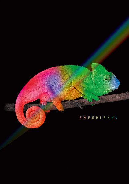 Изображение товара Ежедневник Listoff Хамелеон / ЕЖФ24512830